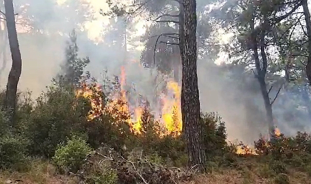 Cevizli Köyü’ndeki Yangın Kısa Sürede Söndürüldü