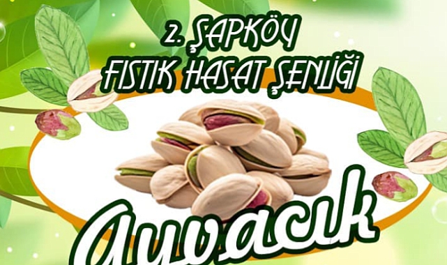 Fıstık Hasat Şenliği öncesi denetim