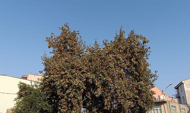 Çanakkale’de bugün hava durumu