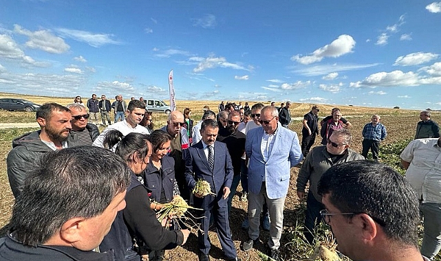 Çıplak Köyünde Şeker Pancarı İlk Hasat Tarla Günü Etkinliği Gerçekleştirildi