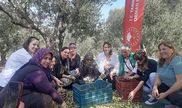 Gökçebayır’da hasat şenliği düzenlendi