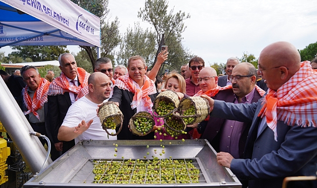 İlk hasat ve zeytinyağı sıkımı yapıldı