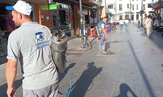 Mazgallar Haşerelere Karşı İlaçlandı