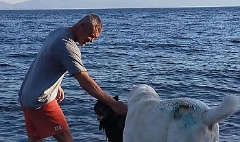 Sadettin Saran Assos’ta