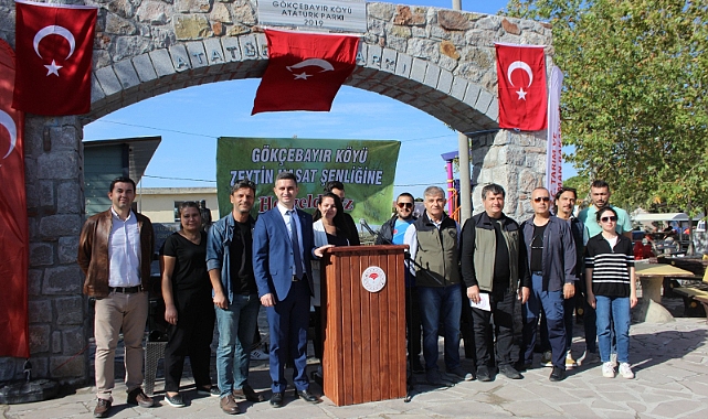 Zeytin hasat şenliği düzenlendi