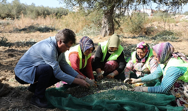 Zeytinin Başkenti Edremit’ten Sofralara