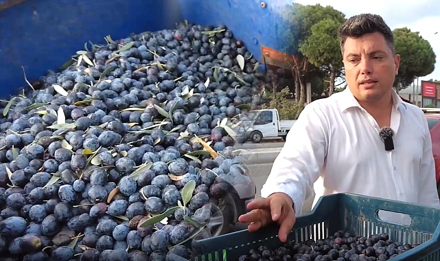 Hileli zeytinyağına dikkat!