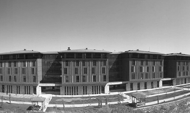 2024 YILI JENERATÖR, TRAKTÖR VE MAKİNALAR İÇİN AKARYAKIT VE HİZMET ARAÇLARI İÇİN ADBLUE ALIMI