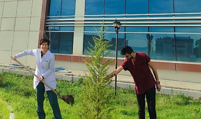 Biga Devlet Hastanesi Bahçesi yeşillendiriliyor
