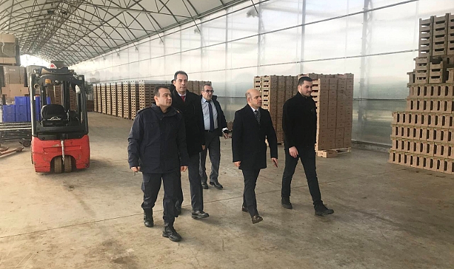 Çan’da modern bir sera, çalışanlarının yüzde 95’i kadın