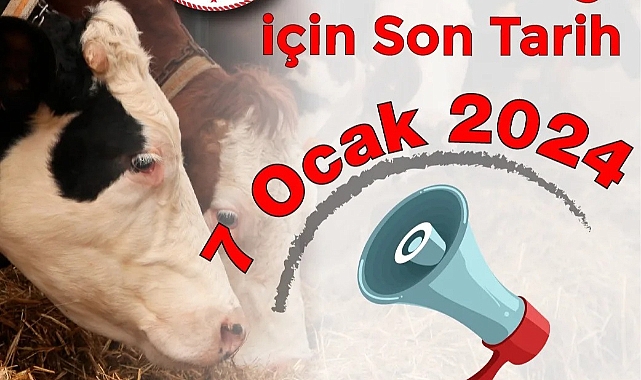 Düve alım desteği başvuruları başladı