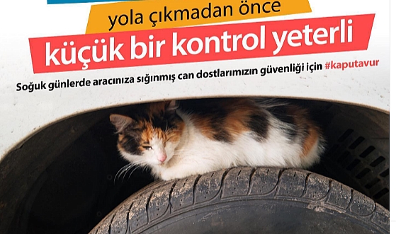 Lütfen kaputa vur!