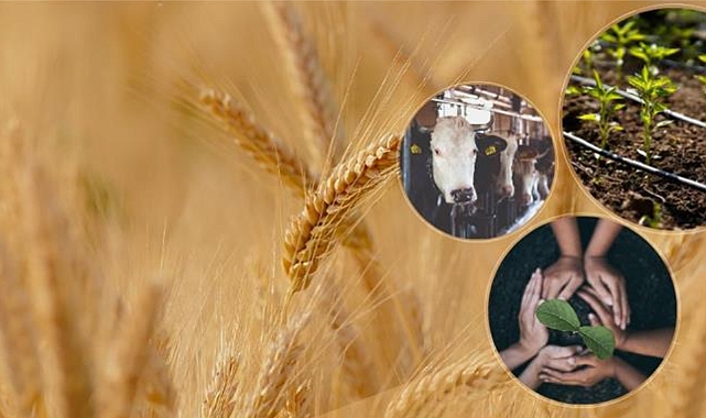 Tarımsal destekleme ödemeleri ne zaman hesaplara yatırılacak?