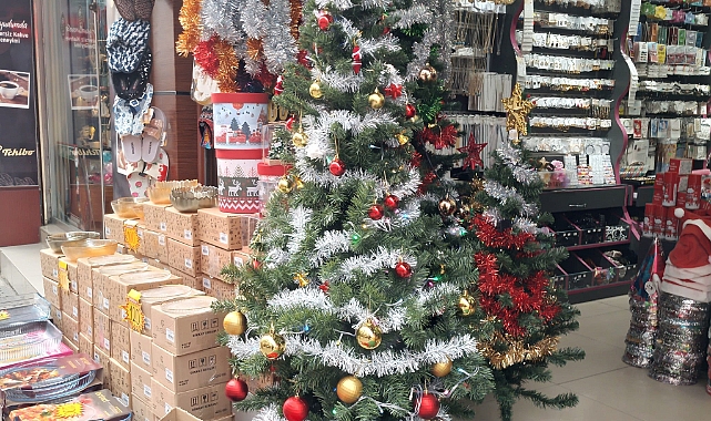 Yılbaşı ağaçları cep yakıyor