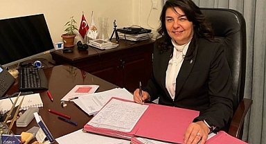 Ak Partinin adayı Jülide İskenderoğlu
