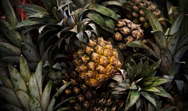 Ananas meyvesinin faydaları nelerdir?