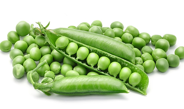 Bitkisel protein; bezelye
