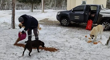 Gelibolu Belediyesi, soğuk havada gönülleri ısıttı