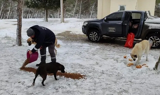 Gelibolu Belediyesi, soğuk havada gönülleri ısıttı