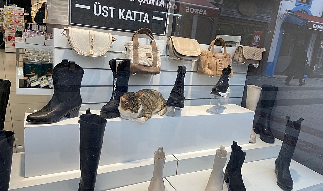‘’Mağazamızın en yeni personeli’’