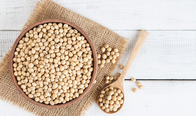 Soya yağının sağlığa faydaları