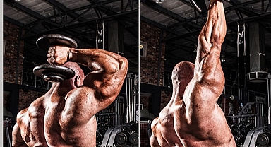 Triceps Extension: Anatomical Insights ve Functional Benefits