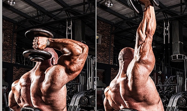 Triceps Extension: Anatomical Insights ve Functional Benefits
