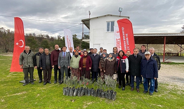 Çanakkale'de orman yangınından zarar gören üreticilere zeytin fidanı dağıtıldı