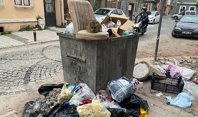 Fevzipaşa'da kedinin beklenmedik molası
