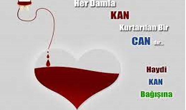 Gelibolu'da kan bağışı kampanyası