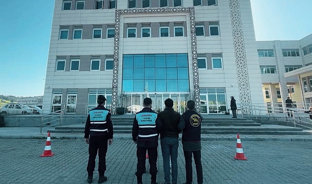 Sarıcaeli'nde çalınan 4 küçükbaş bulundu!