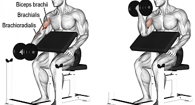 "Scott Curl Egzersizi: Biceps Gelişimi ve Kol Estetiği için Etkili Bir Egzersiz"