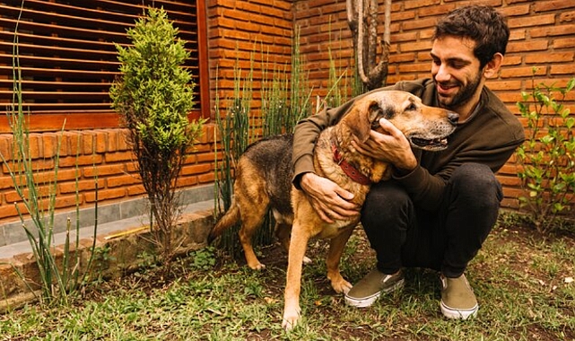 Yeni evcil hayvan sahiplenecekler için 10 önemli tavsiye