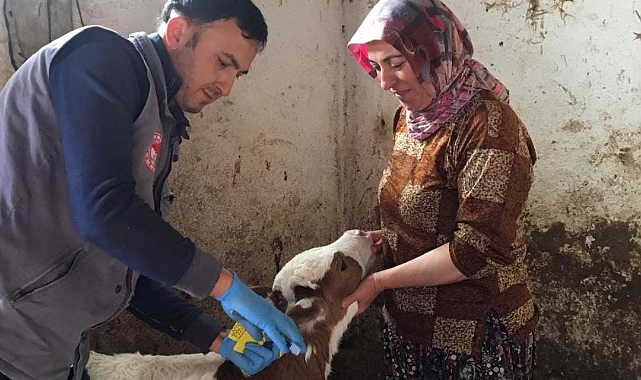 Yenice’de aşılama başladı