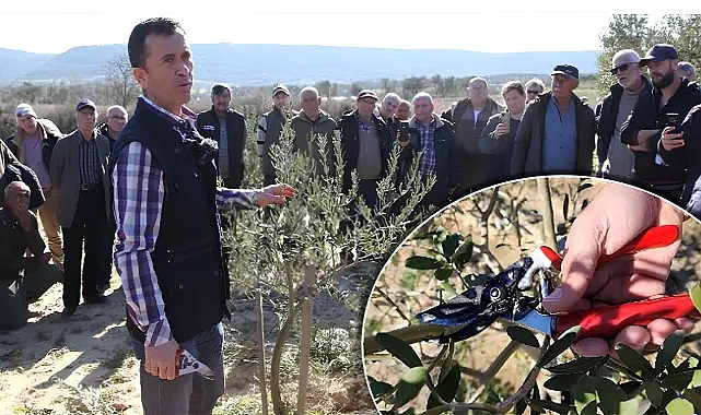 Zeytin yetiştiricilerine eğitim verildi