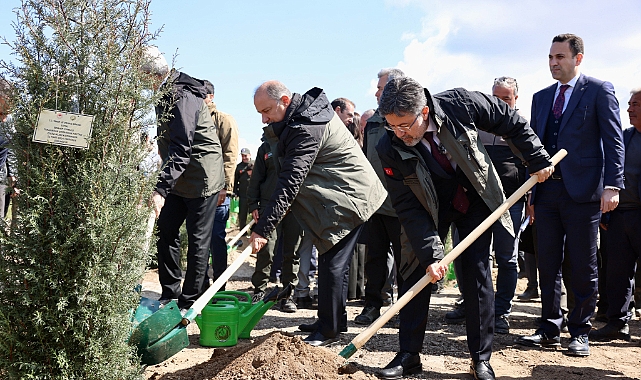 Çanakkale'de 300 bin fidan dikimi gerçekleşti