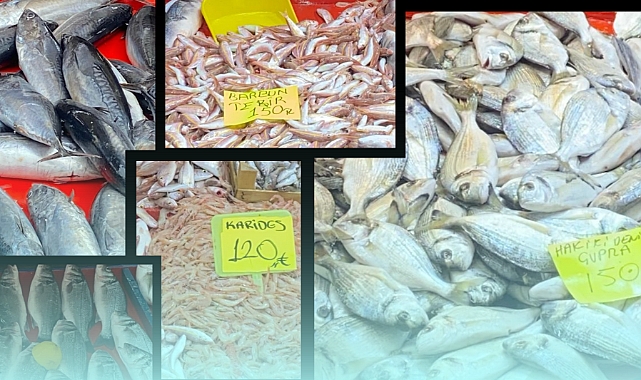 CUMPA’da balık tezgahlarında bolluk var