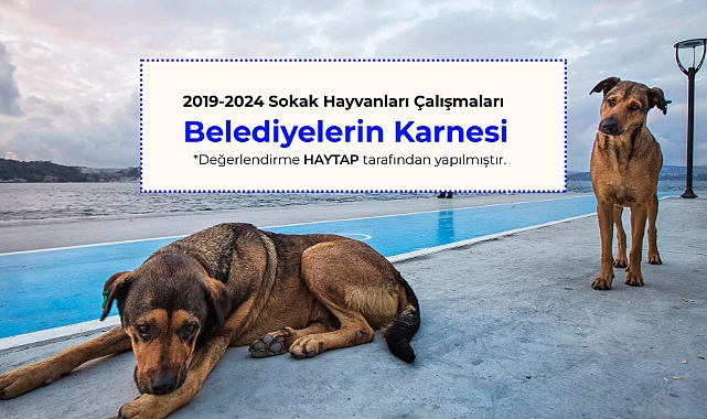 HAYTAP belediyeleri puanladı: Çanakkale'ye 4 puan!