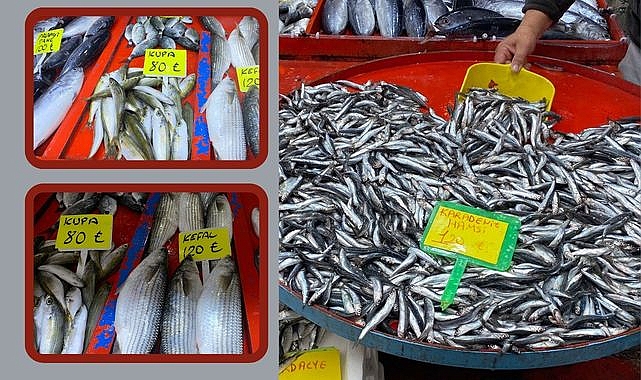 Pazarda balık tezgahlarına ilgi büyük