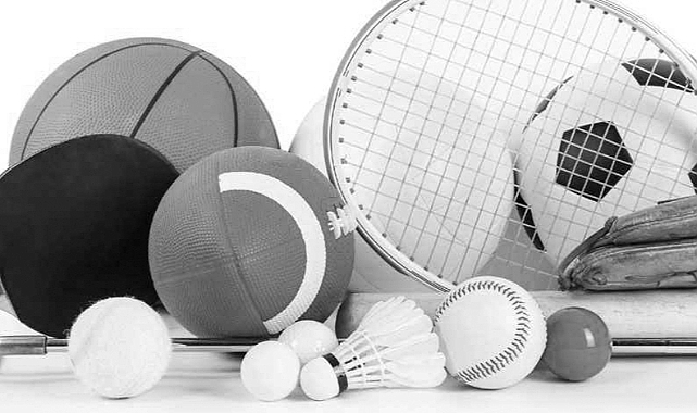 SPOR MALZEMESİ ALIMI (19 KALEM)