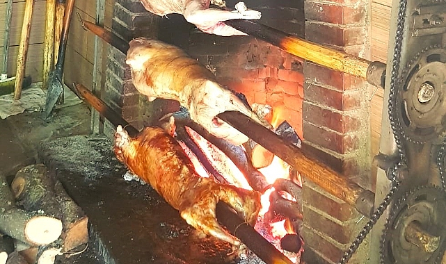 Balaban’da oğlak çevirme başladı