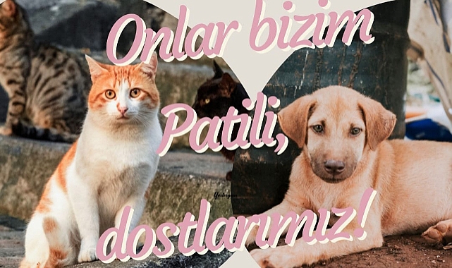 Çanakkale'de hayvanlarda ilk yardım konuşulacak