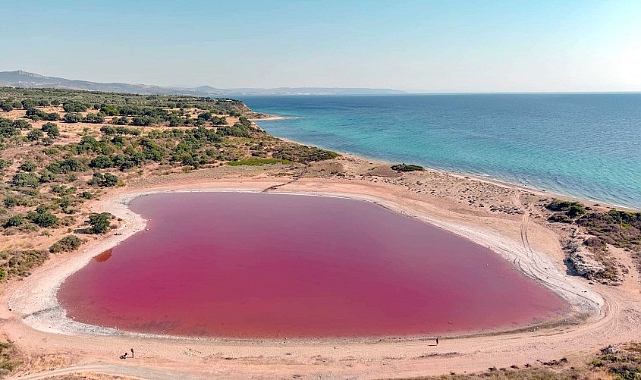 Doğanın renkli hediyesi: Dalyan pembe göl