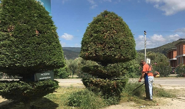 Küçükkuyu'da çalışmalar devam ediyor