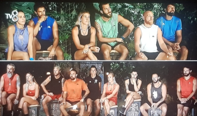 Survivor'da aşk bacayı sarmış
