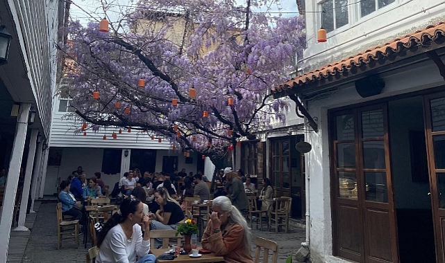 Yalı Hanı'nda mor salkımlar çiçek açtı