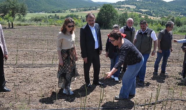 "Biga'da ilk kuşkonmaz üreticisi ziyaret edildi"