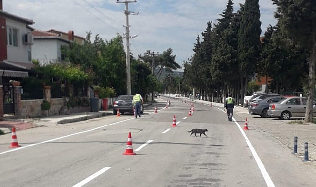 Çanakkale'de yatay trafik işaretleme uygulaması