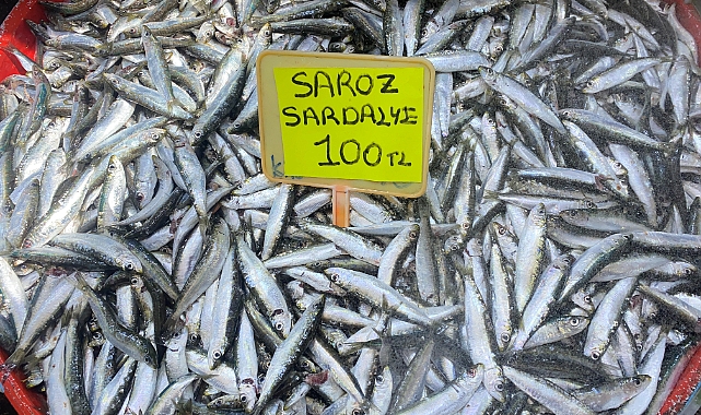 CUMPA'da tezgahlara sardalye akını