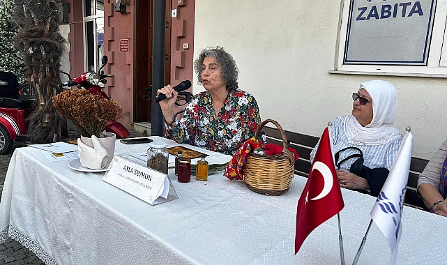 Küçükkuyu'da Sarı kantaron bitkisi anlatıldı